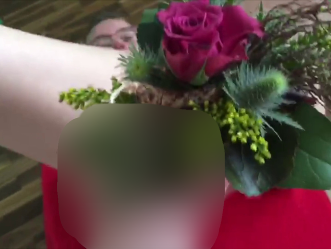 Download: FicklauneHH - Blumen zum Valentinstag in die Muschi gesteckt