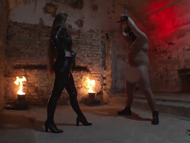 Download: FinDomLadyStefanie - Ball-Busting-Balance