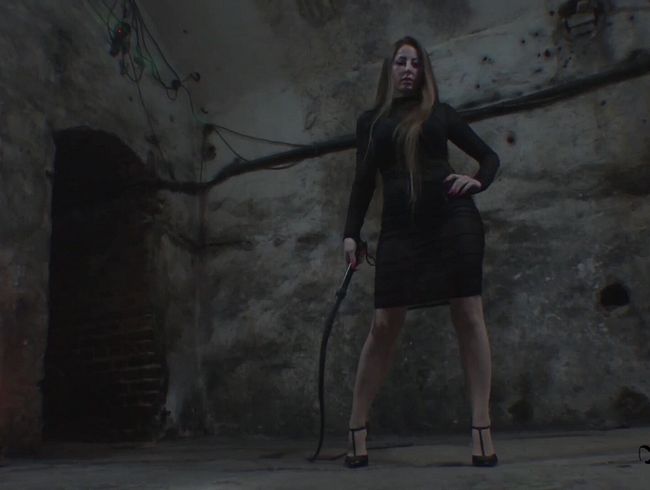 Download: FinDomLadyStefanie - Manege frei