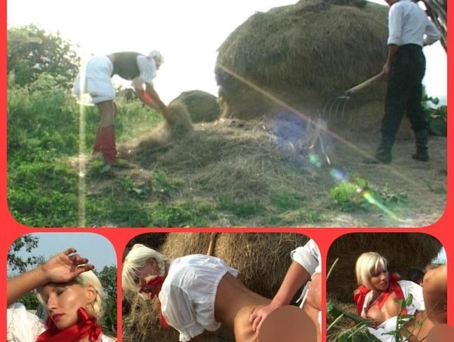 Download: FrankHolzer11 - Bauer sucht frau1