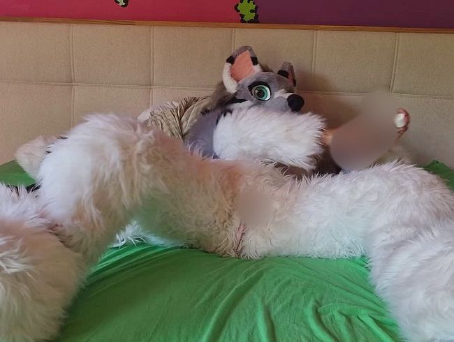 Download: FrayaAdullt - Dildo in fluffy pussy