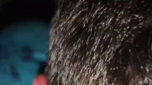 Download: Geile-hexe85 - Lecken bis zum kommen