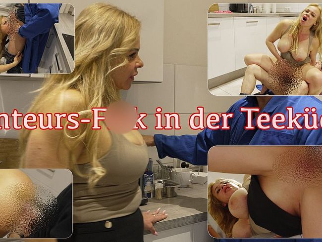 Download: GinaTomic - Monteurs-Fick in der Teeküche
