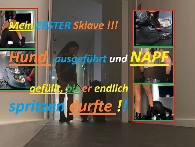 Download: Ginabae - Mein ERSTER SKLAVE!!! braves Hündchen leckt meine Stiefel und spritzt sich hart durch seinen Anzug !