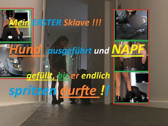 Download: Ginabae - Mein ERSTER SKLAVE!!! braves Hündchen leckt meine Stiefel und spritzt sich hart durch seinen Anzug !