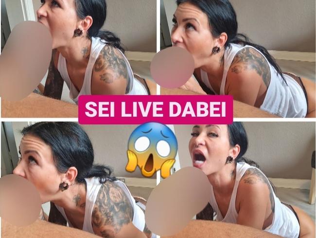 Download: Ginabae - Achtung!!! Sei live dabei! Versaute Session !! Behind the Scenes