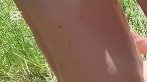 Download: Giovanni2389 - Victoria Arias und Vampirosa, auf dem Land auf der Suche nach einem guten Pilz, einem, der sie hart treffen wird