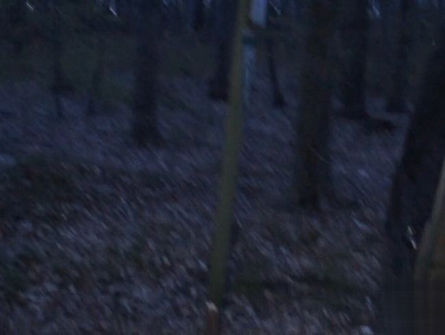 Download: Glory-Glasses - Ficktreff im Wald