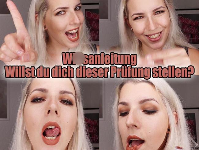 Download: GypsyPage - WICHSANLEITUNG willst du dich dieser Prüfung stellen?