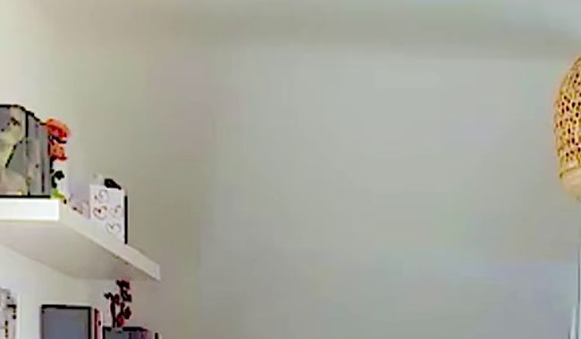 Download: Hasi_69 - Sexy Dance Strip Part 2