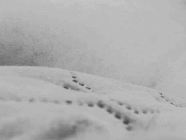 Download: HedonistSoul - Ich komme für dich ?