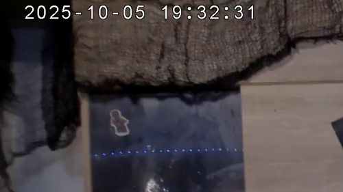 Download: HeissesRotkaeppchen - An den Stuhl gefesselt und mit der Fickmaschine bearbeitet worden