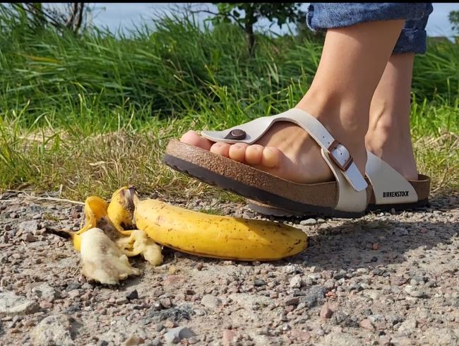 Download: Honey-Bitch - Userwunsch - Crushing