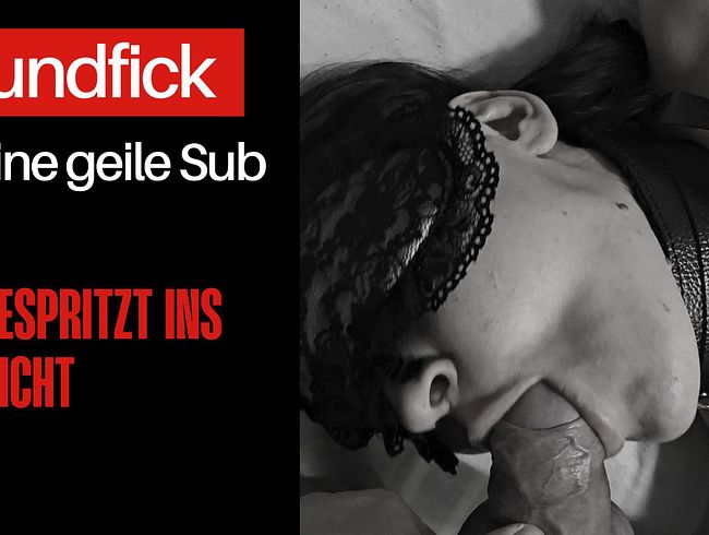 Download: HornyRose - Als Submissive habe ich mir von ihm den Mund ficken lassen - Er kam auf meinem Gesicht