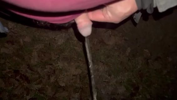 Download: HoschiBro - Pissen im Wald