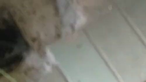 Download: HungrigesBiest - Dem jungen Nachbarn schnell einen Blasen im Keller, ich knie auf dem Boden