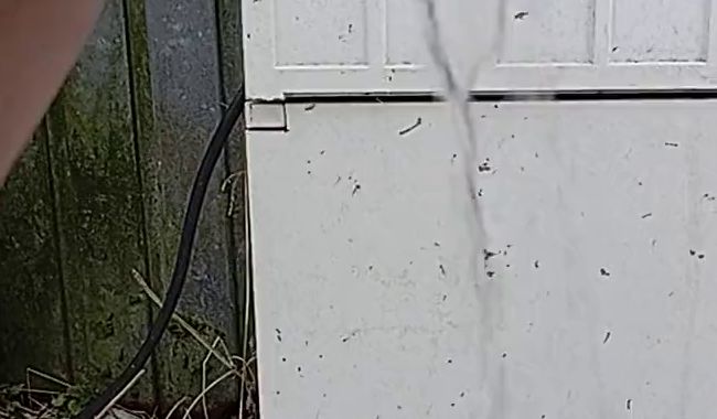 Download: HungrigesBiest - Schnellpiss im Kalten im Schnee, dreckiger String, Nylon