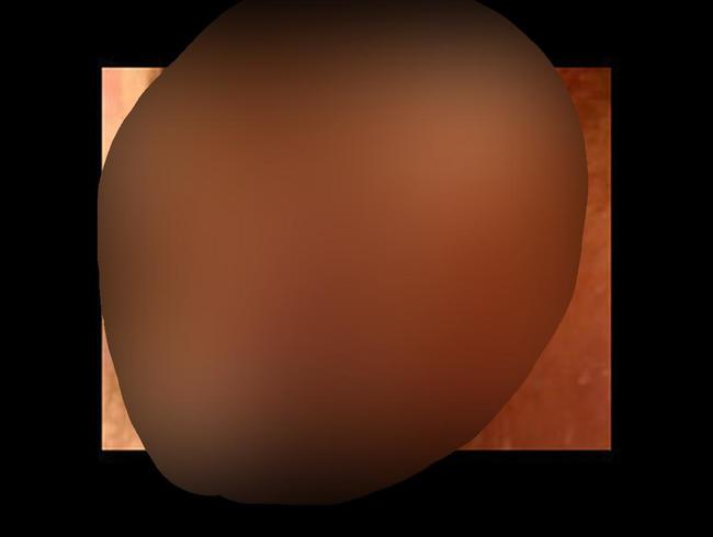 Download: InkoAlex - Wixanleitung