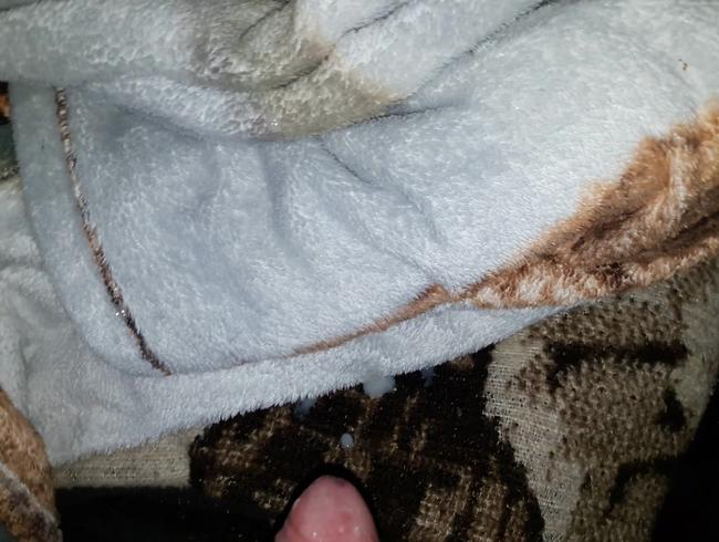 Download: Intimissimo-Micha - Ihre Kuscheldecke bewichst