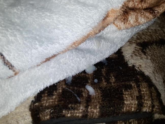 Download: Intimissimo-Micha - Ihre Kuscheldecke bewichst