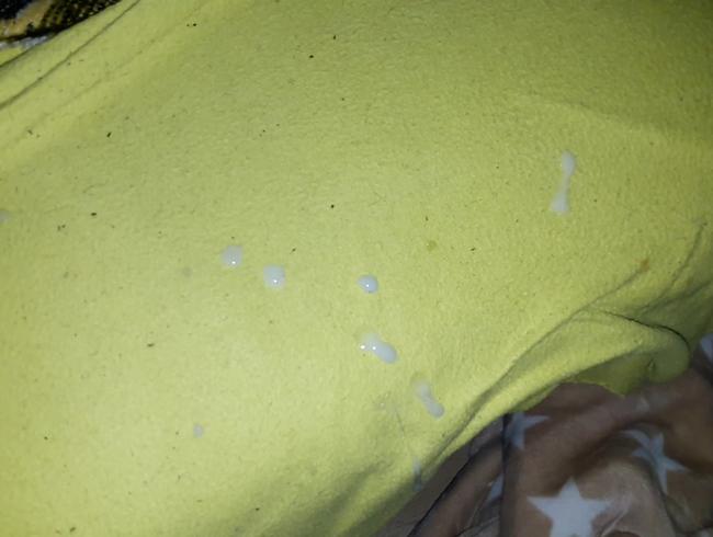 Download: Intimissimo-Micha - schluck du Sau