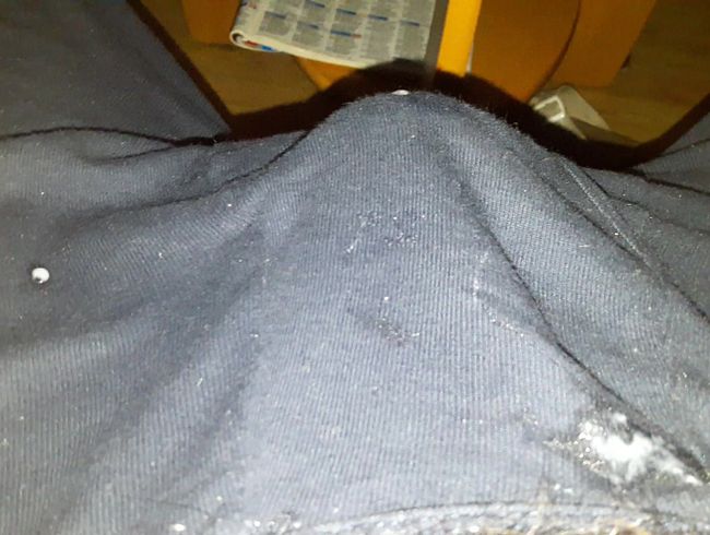 Download: Intimissimo-Micha - Mir die Keule leer gewichst