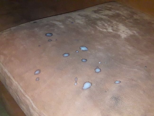 Download: Intimissimo-Micha - Möchtest mein Schwanzsaft schlucken ?