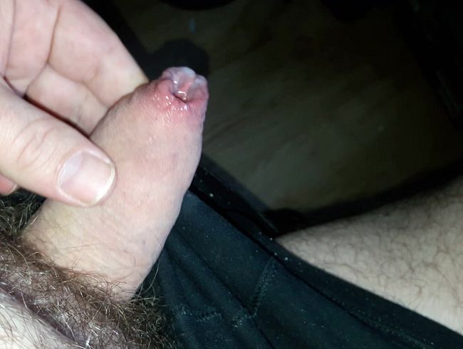 Download: Intimissimo-Micha - Pimmelchen - nach dem spritzen (kein Ton)