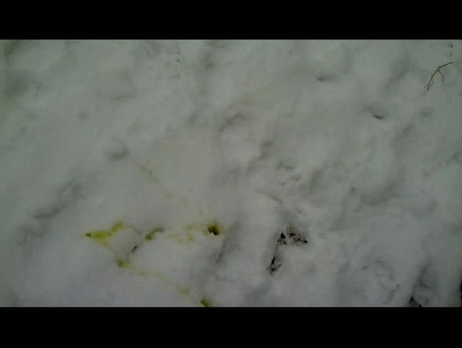 Download: Intimissimo-Micha - Im Schnee gepisst