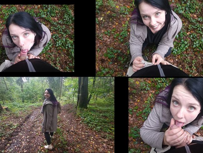 Download: JayJay_XXX - Schüchternen Typen ZUM ERSTEN MAL im Wald geblasen