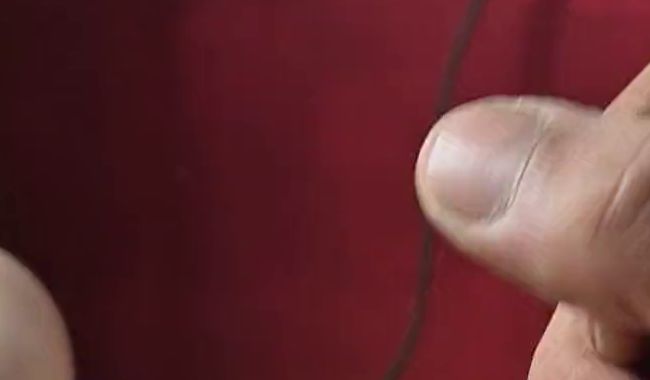 Download: Jogo8301 - Auf einen Schlag geil gewesen