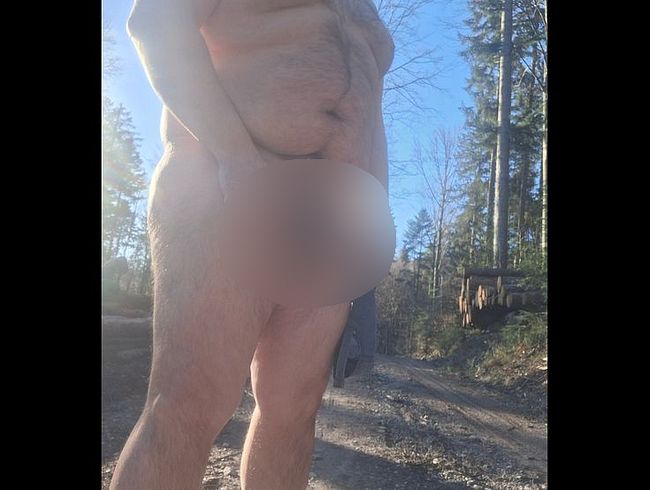 Download: John8927 - Erster wärmerer Tag im Wald