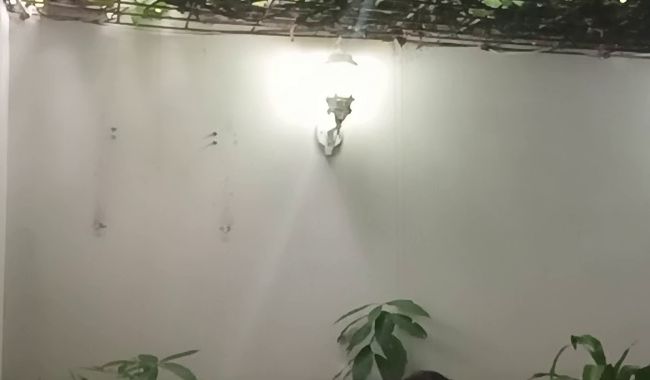 Download: JulieGambel - Smaragdgrünes Kleid