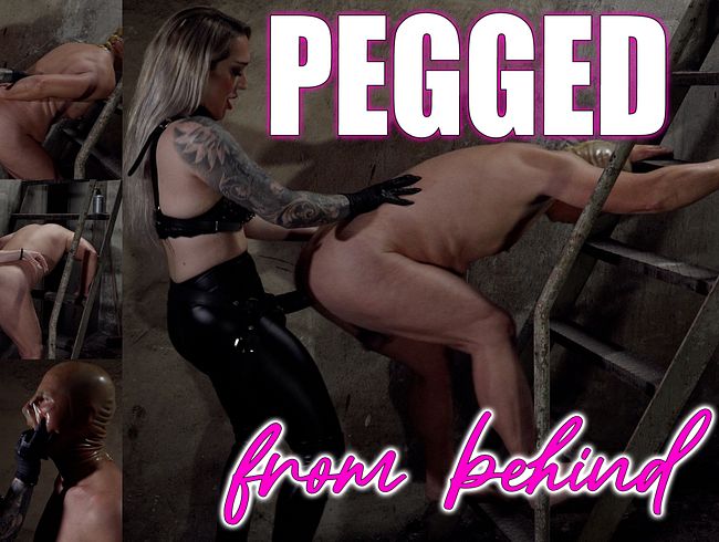 Download: KimJudge - Von hinten gefickt