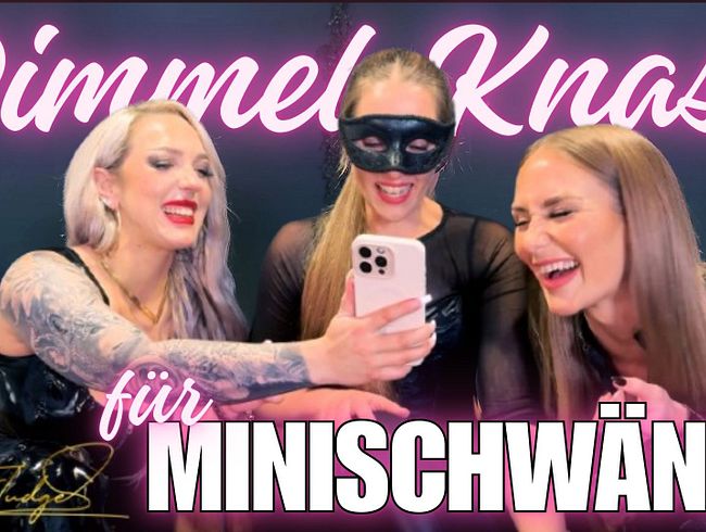 Download: KimJudge - Pimmel-Knast für Minischwänze!