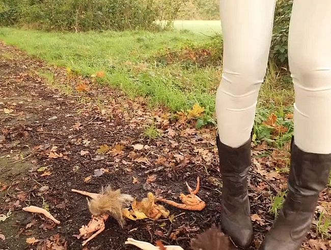 Download: Lady-Amy - Crushing meiner Babsies - unter meinen Heels - ich zerstöre sie alle und habe Spaß daran