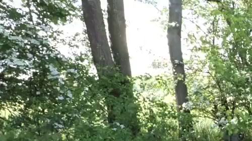 Download: Lady-Amy - Schlendern in hautengen Materialmix Leggings - sie sitzt einfach perfekt