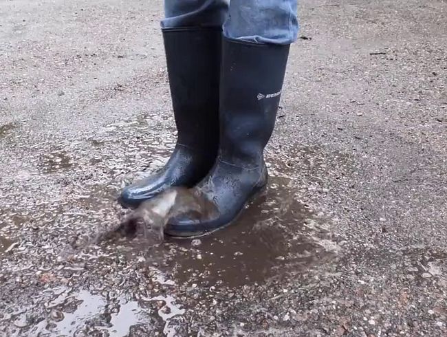 Download: Lady-Amy - Gummistiefel in Pfützen hüpfen - rubberboots dirty ... du hast eine Vorliebe für Gummistiefel?