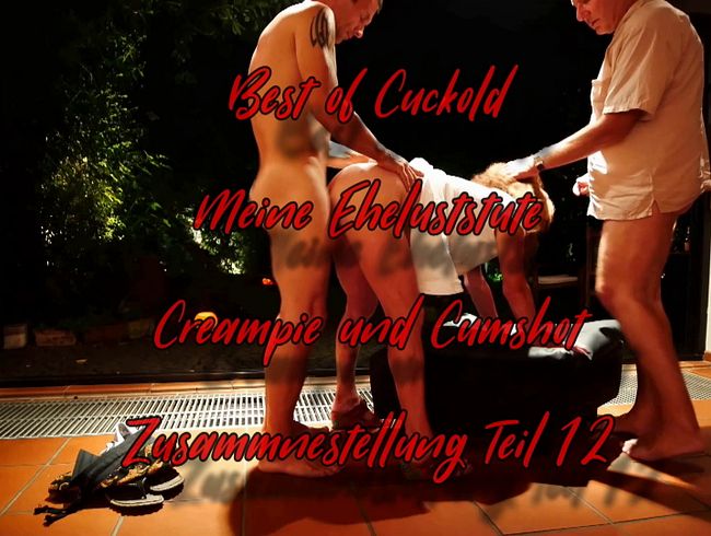 Download: Lady-of-Joy666 - Meine Eheluststute – Cumshot und Creampie Zusammenstellung Teil 12