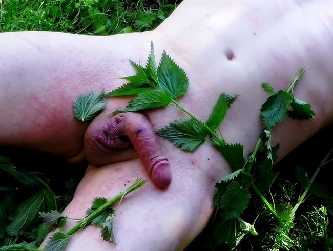 Download: LadyVampira - T*rture Garden 2