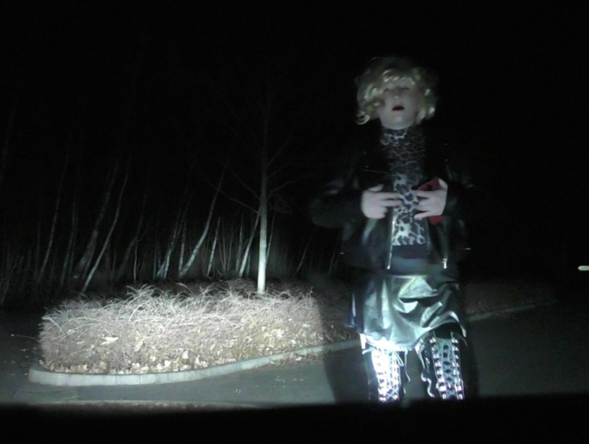 Download: LadyVampira - Domestic PlayP!g