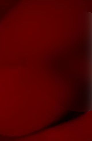 Download: Larissa-TS - Mein Mann fickt mich mit Halsband