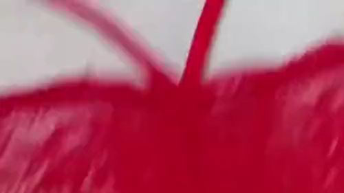 Download: LiebeJulia - Deine Julia - Ohne Ton