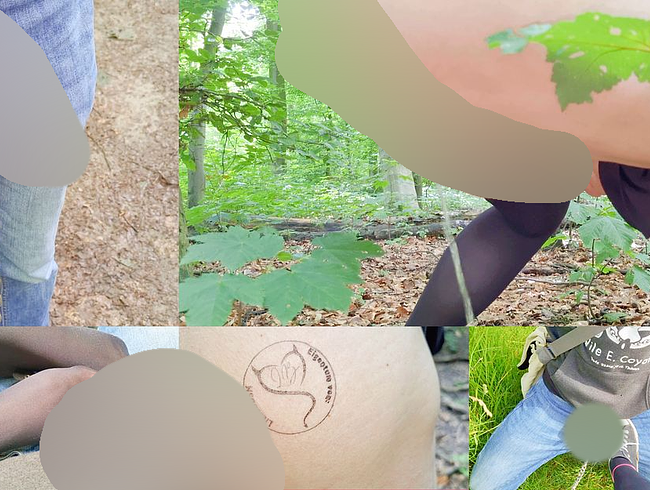 Download: LiesaBDSM - Das Sklavenleben Teil 3 - Der Spaziergang