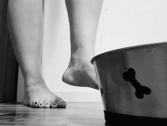 Download: LiesaBDSM - XXX Fetisch Video-Adventskalender XXX Türchen 2