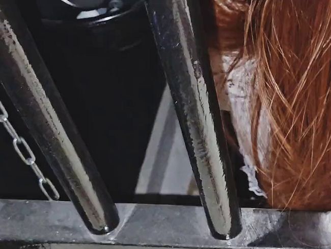 Download: LiesaBDSM - Liesas Fetisch-Adventskalender Türchen 7 - Job eines Putzsklaven der besonderen Art SISSY