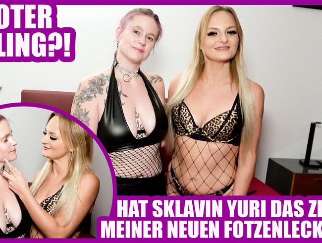 Download: LinaMila - DEVOTER NEULING?! HAT SKLAVIN YURI DAS ZEUG ZU MEINER NEUEN FOTZENLECKERIN?