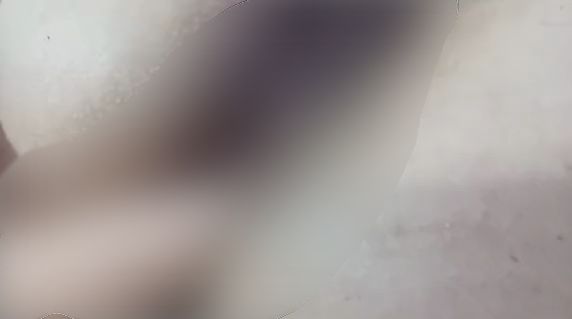 Download: LinaMonsalve - behaarte offene Muschi