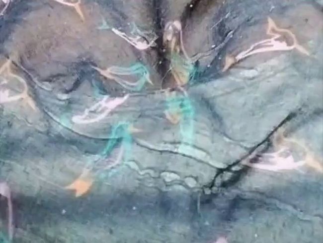 Download: LinaTits - Wie würdest du meine Titten hinter einem Schal sehen?