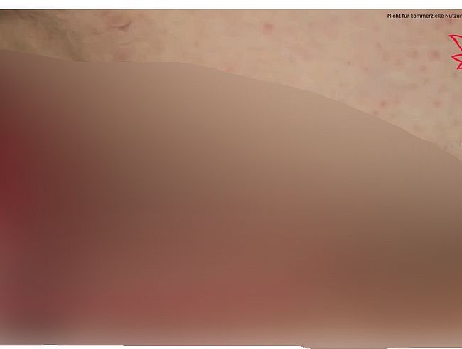 Download: Lotusbluete1982 - .....Neues Spielzeug mit Abspritzgarantie .........